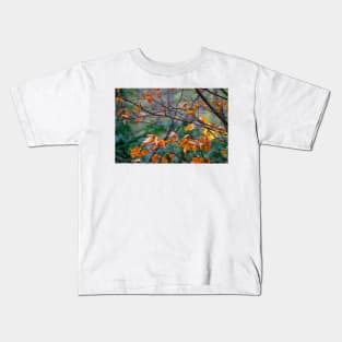 Robin  hiding in Beech tree Kids T-Shirt